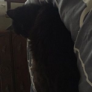 Meet your Posher, Vicki